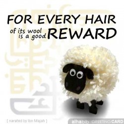 For every hair is a good reward. Eid ul Adha Greeting Card by Alhabib. For every hair is a good reward. Eid ul Adha Greeting Card by Alhabib.