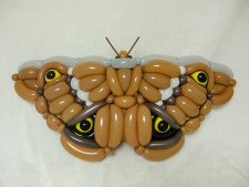 balon-binatang-keren-kupu-kupu-Masayoshi-Matsumoto