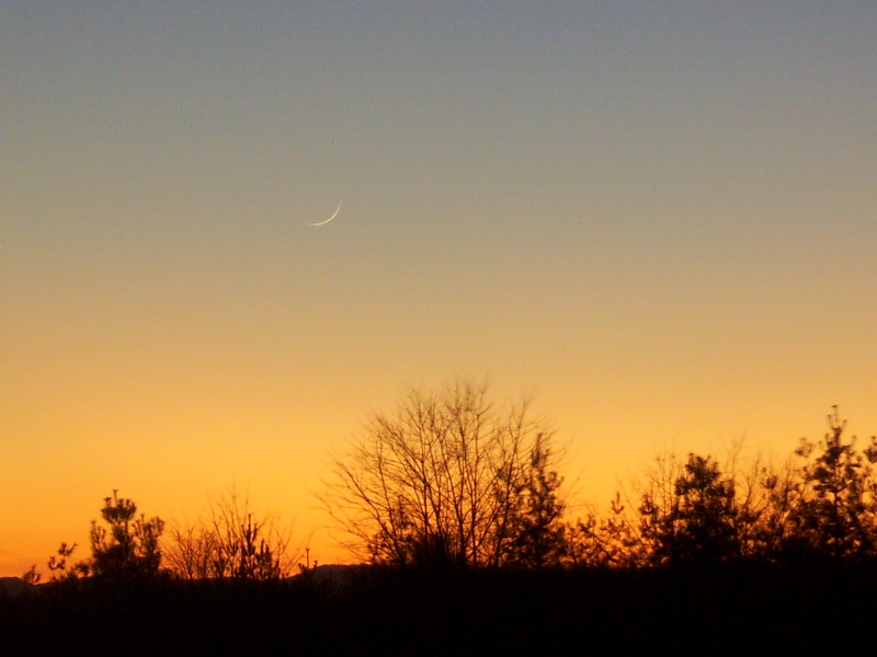 This is a photo of the crescent moon of Safar 1437 AH as from United States. The sighting was on Thursday, 12 November 2015 and the moon was visible by naked eyes.