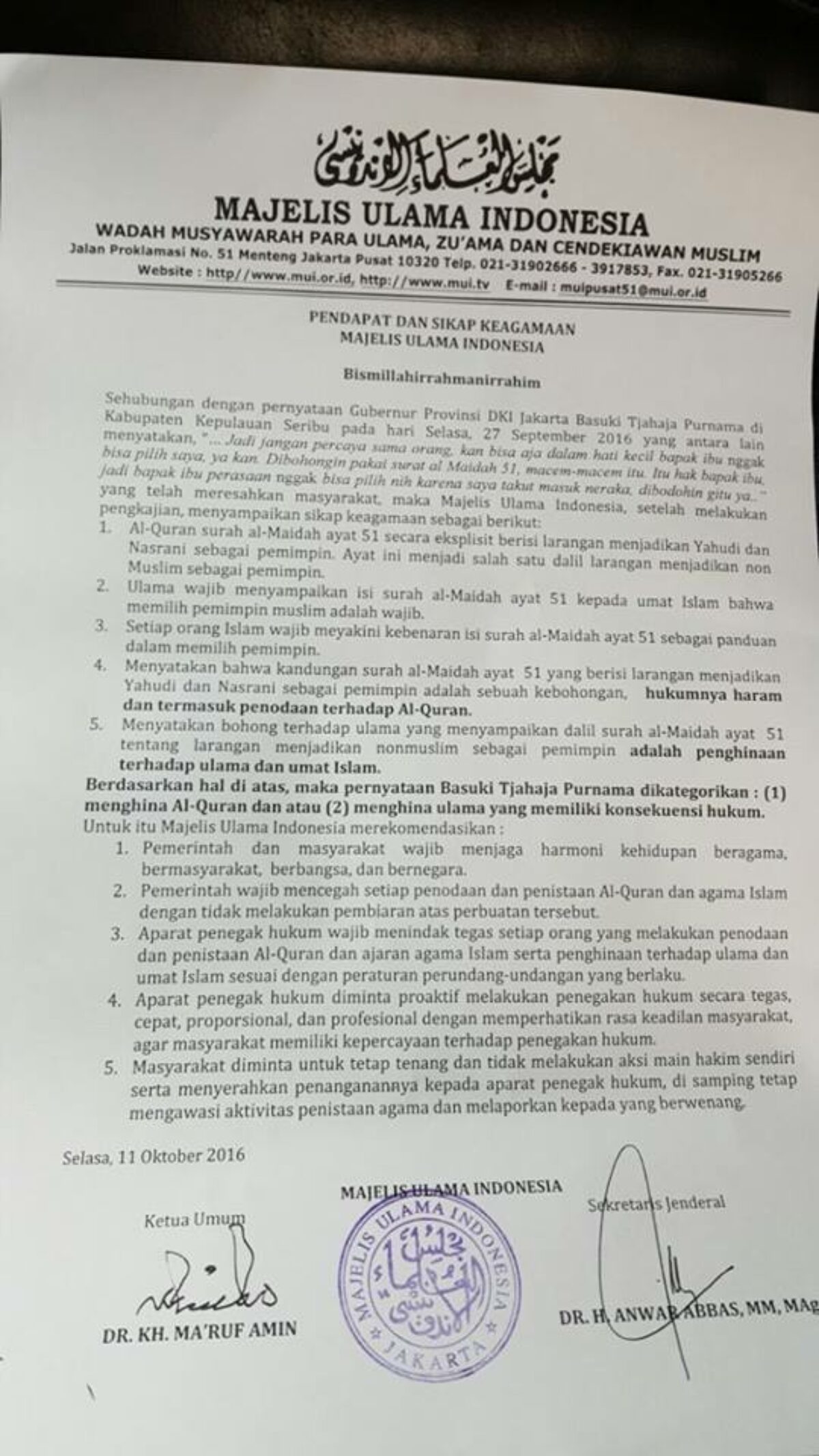 Mushuk suratlarini oching Mushuk suratlarini oching