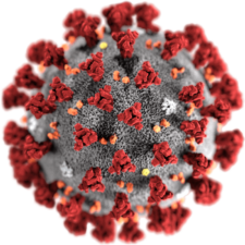 gambar mikroskopis virus korona baru 2019