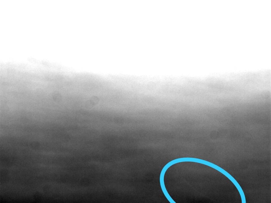 Foto bulan sabit (hilal) 1 Dzulhijjah 1441 H dari Gresik pada petang hari Selasa, 21 Juli 2020 M oleh Achmad Junaidi.